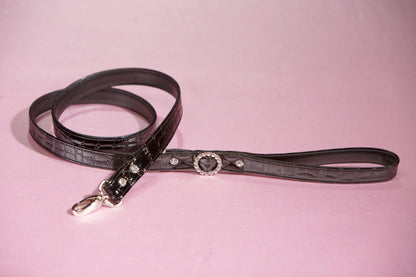 Designer Leash by Hollywood Poochie