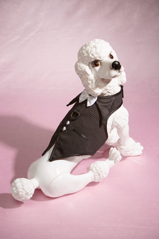 Pinstripe Vest by Hollywood Poochie