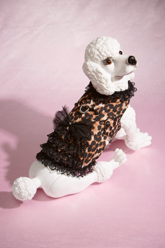 Leopard Ruffle Harness by Hollywood Poochie
