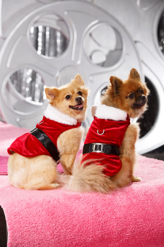 Santa Outfit by Hollywood Poochie