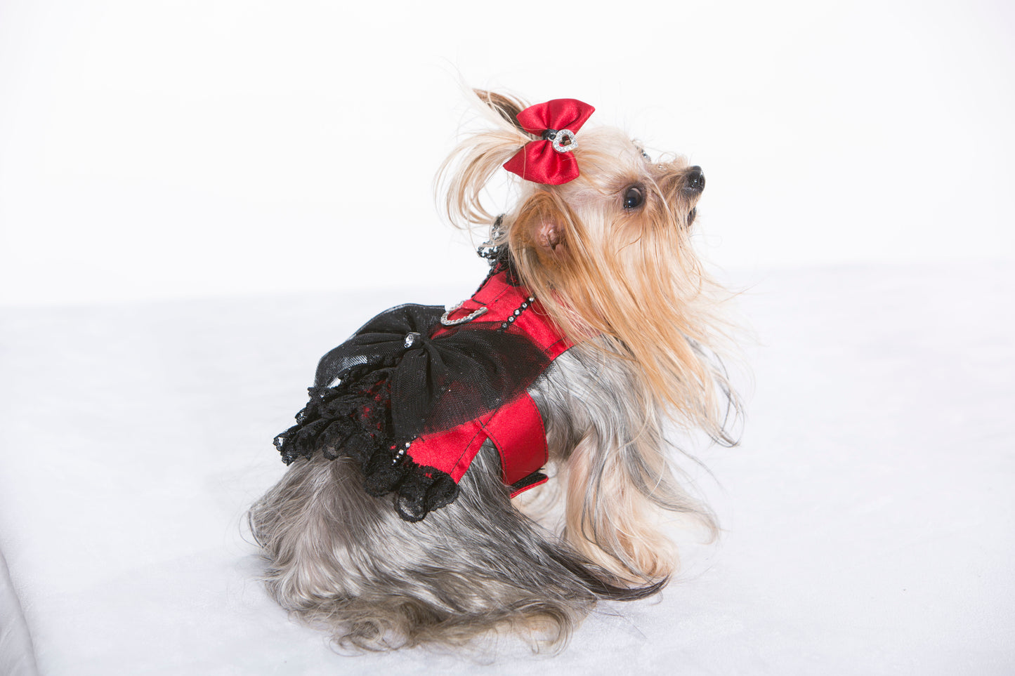 Satin & Lace Ruffles Harness — Red by Hollywood Poochie