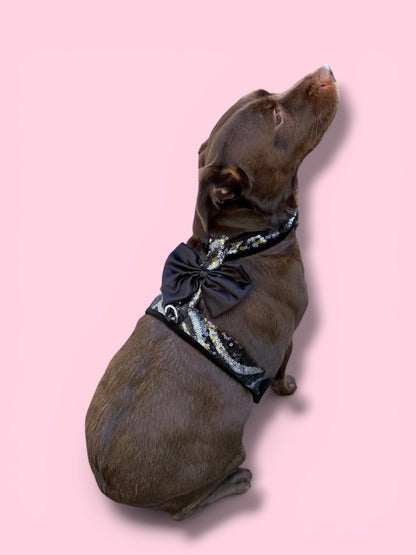 Lace Garter Harness