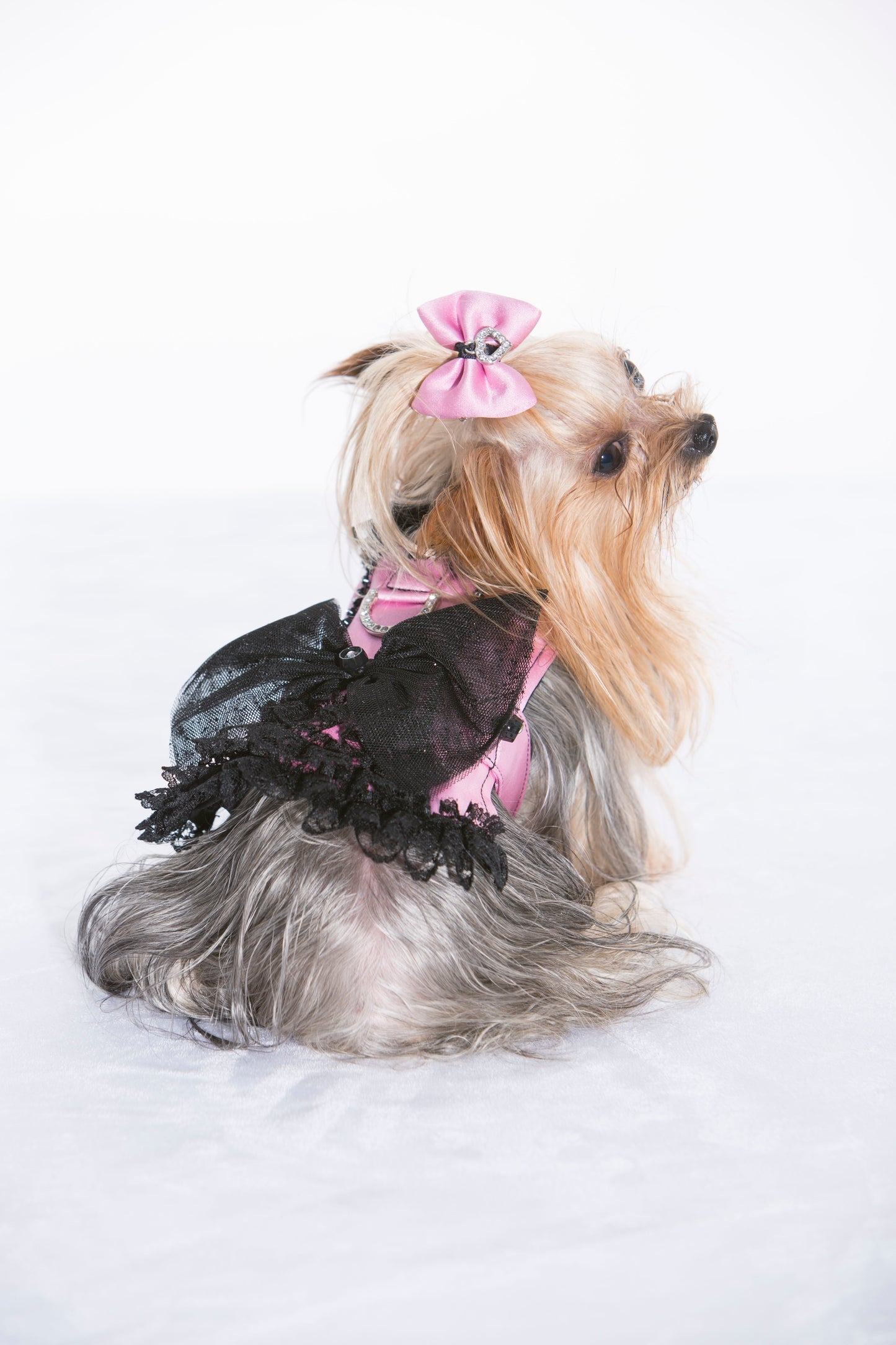 Satin & Lace Ruffles Harness — Light Pink by Hollywood Poochie